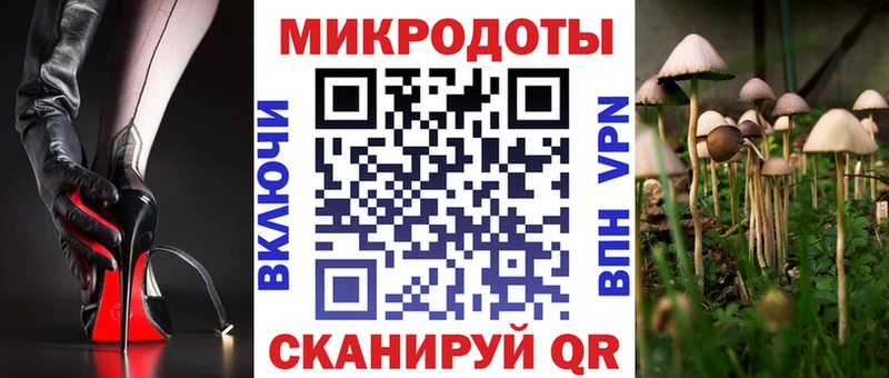 где продают   Теберда  Галлюциногенные грибы GOLDEN TEACHER 
